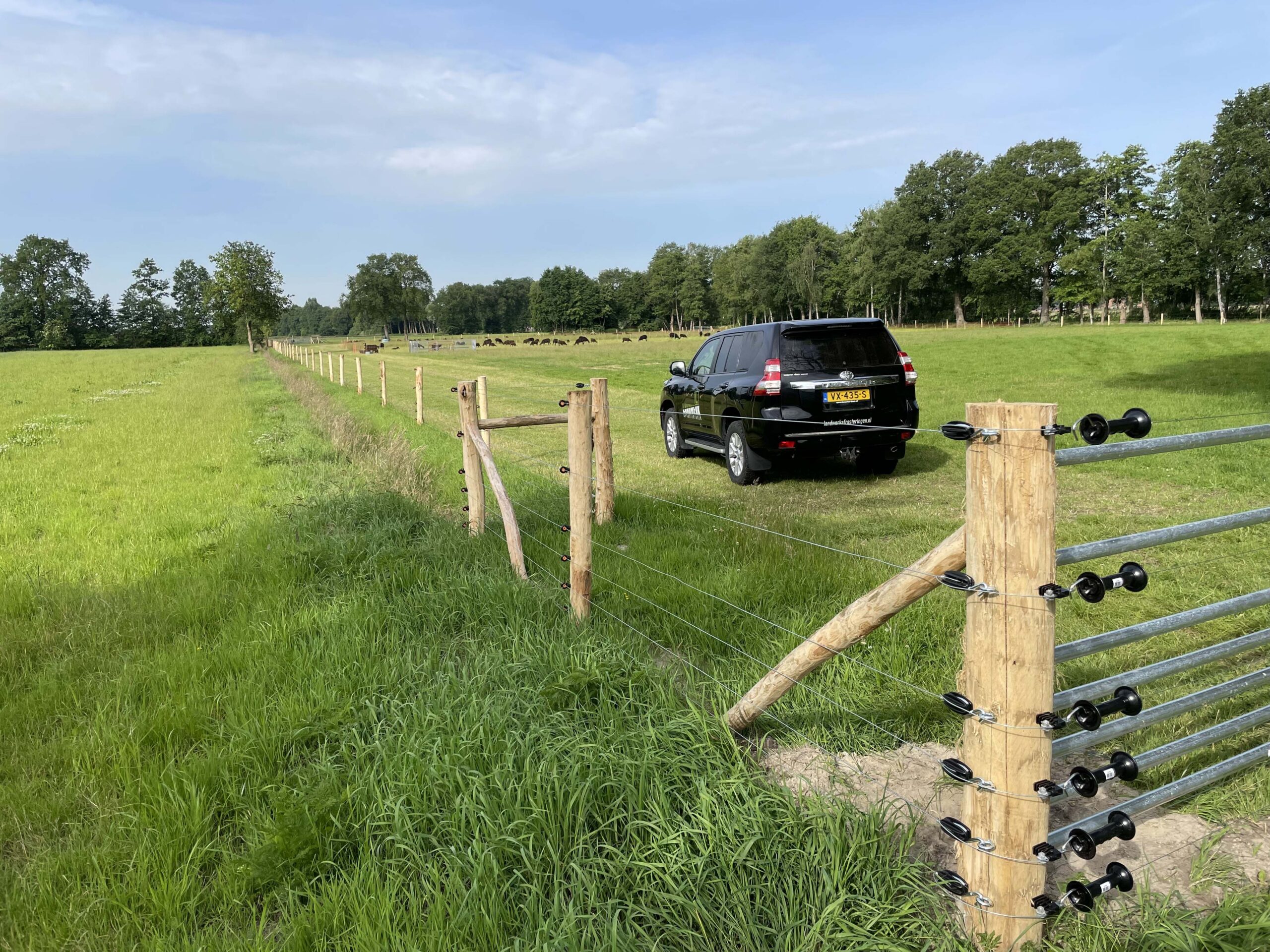 landelijke-hekwerken-landelijk-hekwerk-wolfwerend